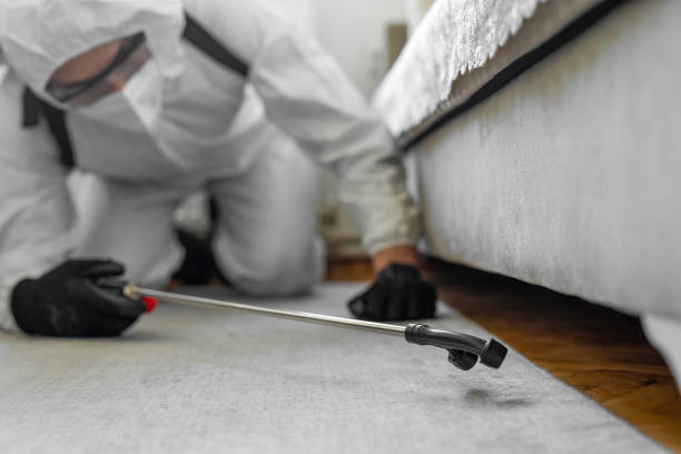 Professional Emergency Pest Control technician working in Beechwood Village, KY