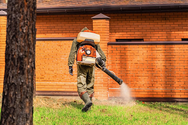 Trusted Rodent Control service in Beechwood Village, KY - Nex Pest Control